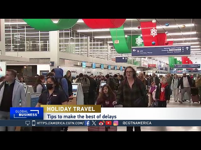 ⁣Global Business: Dealing With Holiday Travel Delays