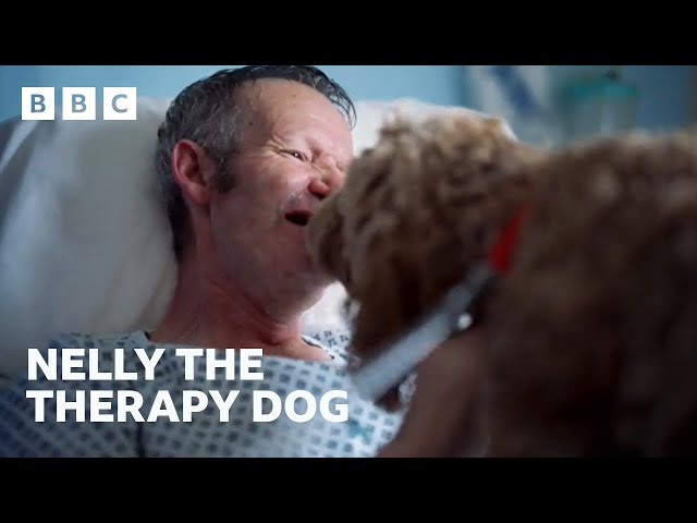 ⁣Emotional Hospital Visit - BBC