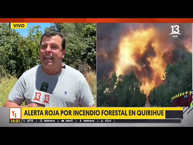 ⁣Alerta roja por incendio forestal en Quirihue, región de Ñuble