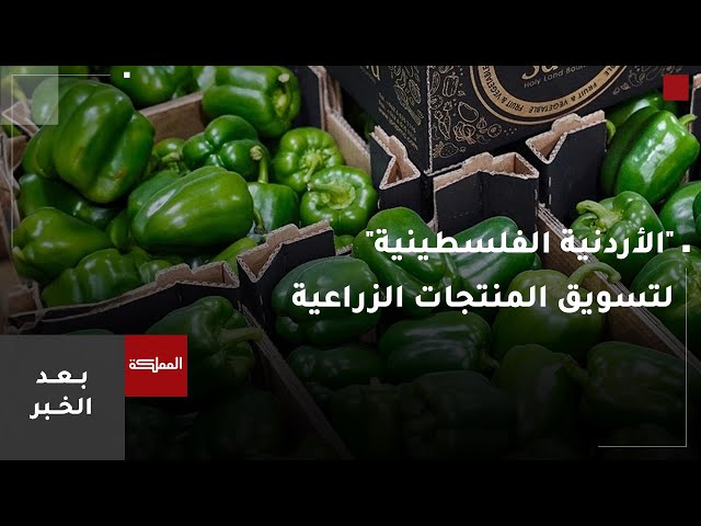 ⁣بعد الخبر | الشركة الأردنية الفلسطينية.. وسيلة القطاع الزراعي للوصول للأسواق الخارجية والتقليدية