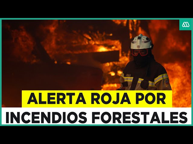 ⁣Alerta roja por incendios forestales: Condiciones climáticas favorecen su propagación