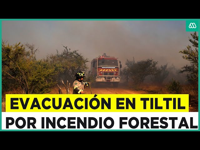 ⁣Ordenan evacuación inmediata: Incendio forestal mantiene en alerta roja a Tiltil