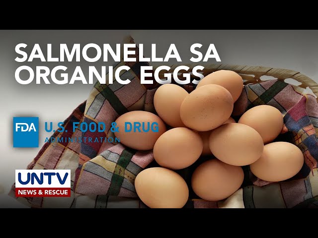 ⁣US FDA, naglabas ng salmonella recall alert sa organic eggs