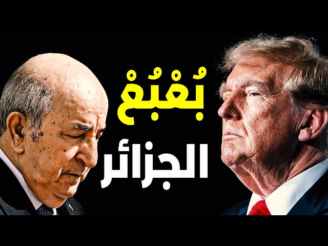 ⁣الجزائر أكبر الخاسرين في إفريقيا بعودة ترامب وفزع رهيب للنظام الجزائري فإنتظار القنصلية فالداخلة