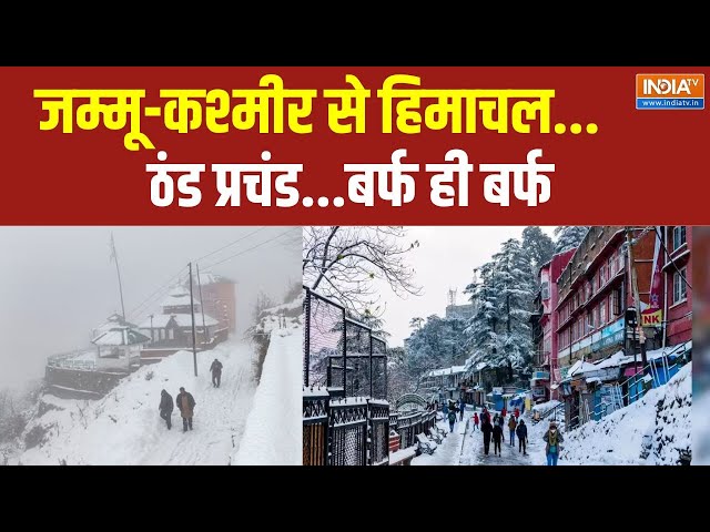 ⁣Jammu Kashmir- Himachal Snow Fall: जम्मू-कश्मीर से हिमाचल...ठंड प्रचंड...बर्फ ही बर्फ |