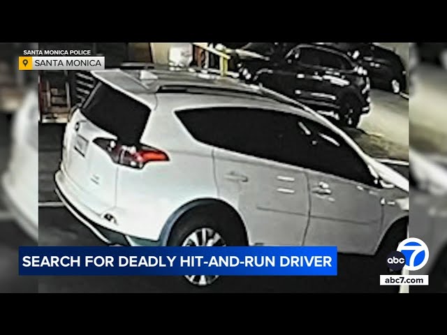 ⁣Santa Monica police searching for suspect in fatal hit-and-run