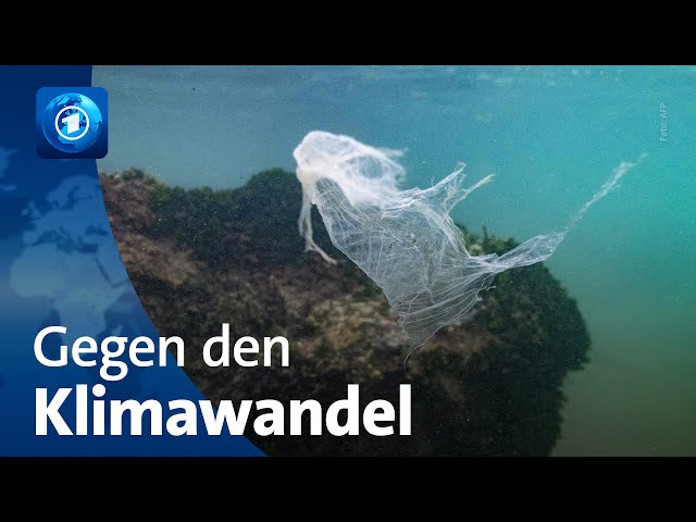 ⁣Jahresrückblick: Bemühungen gegen den Klimawandel