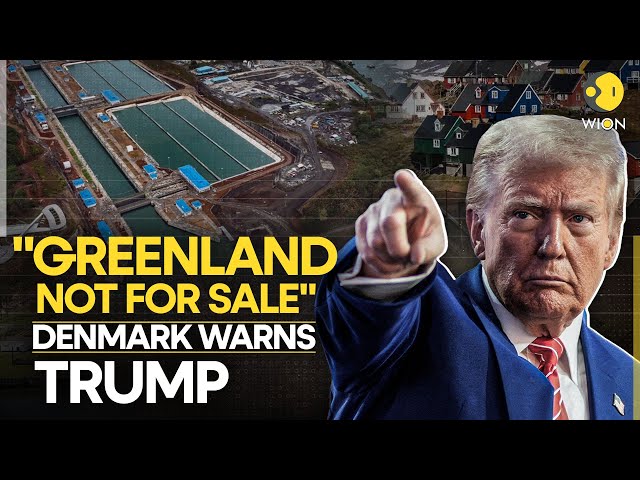 ⁣Trump LIVE: Denmark Warned Trump On Greenland? Defence Budget Revamped | Trump Says... | WION