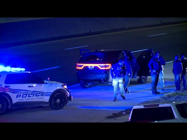 ⁣Woman with 2 kids in the car shot along I-94 near Harper in Detroit