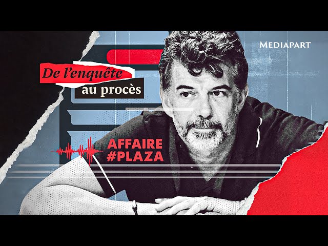 ⁣Affaire Stéphane Plaza : le gendre idéal n’en était pas un (1/2)