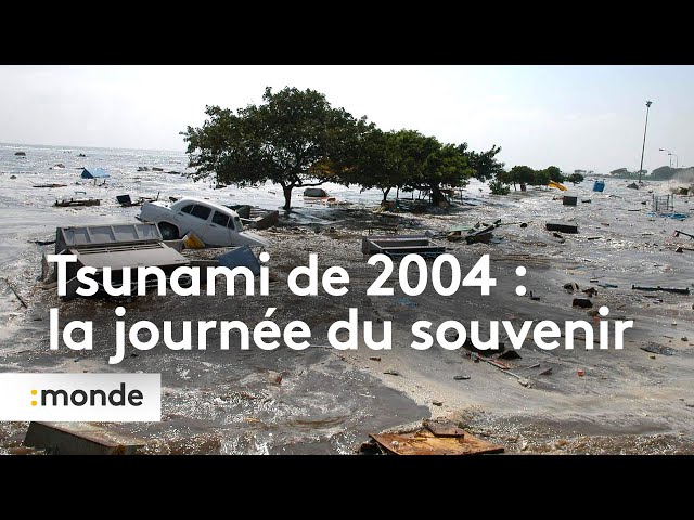 ⁣Tsunami de 2004, la journée du souvenir