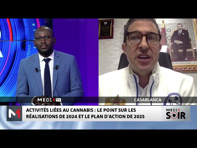 ⁣Activités liées au cannabis : réalisations 2024 et plan d´action 2025 avec Rabii redouane