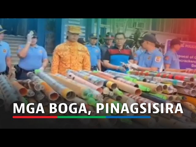 ⁣Higit 400 boga kinumpiska sa Rizal bago mag-2025 | ABS-CBN News