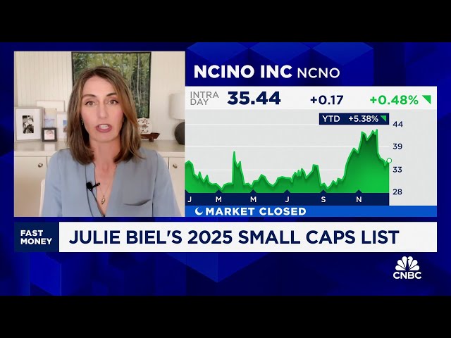 ⁣Julie Biel shares her 2025 small cap picks