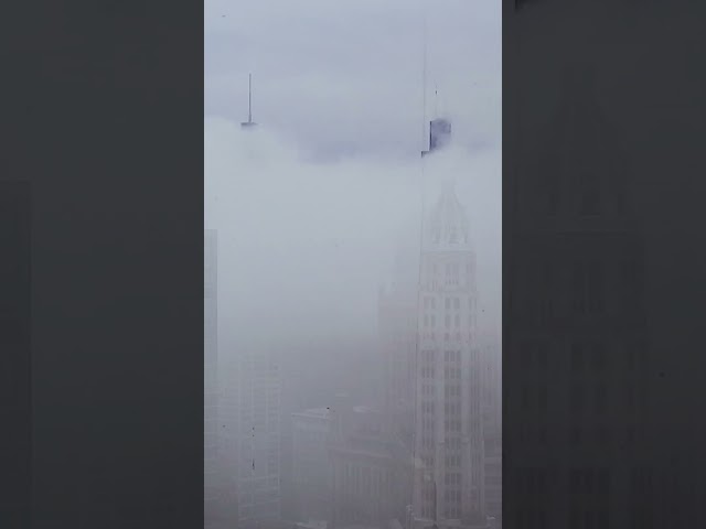 ⁣Dense fog advisory issued for Chicago area, with ‘sharply reduced visibility' expected