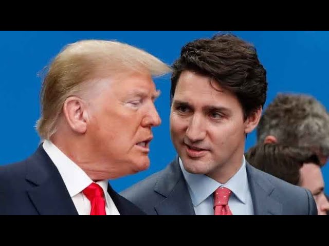 ⁣'More co-ordinated response' needed on Trump's comments about Canada