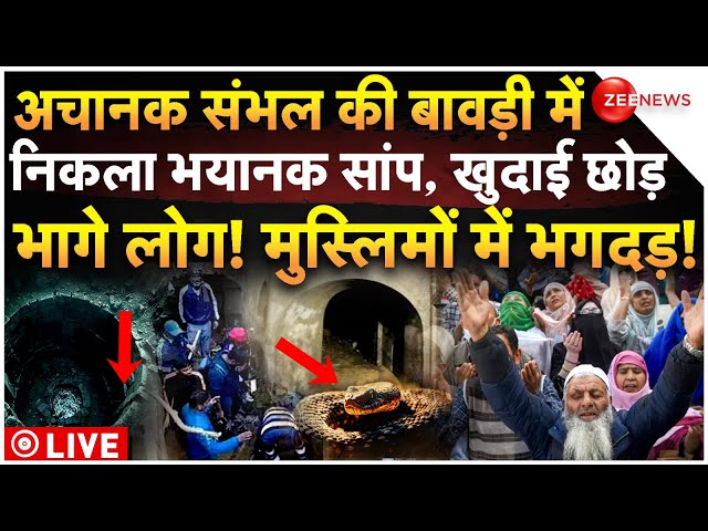 ⁣Sambhal Bawdi Big Breaking News LIVE: संभल की बावड़ी में  निकला भयानक सांप, खुदाई छोड़ भागे लोग!