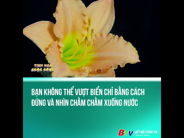 ⁣Bạn không thể vượt biển chỉ bằng cách đứng và nhìn chằm chằm xuống nước