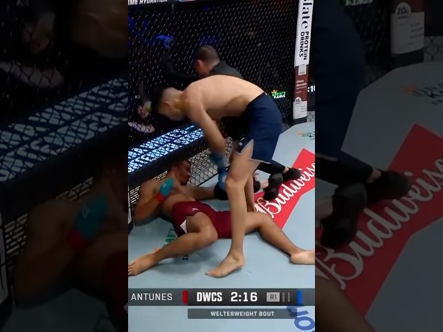 ⁣One Of The NASTIEST KOs You’ll See All Year 