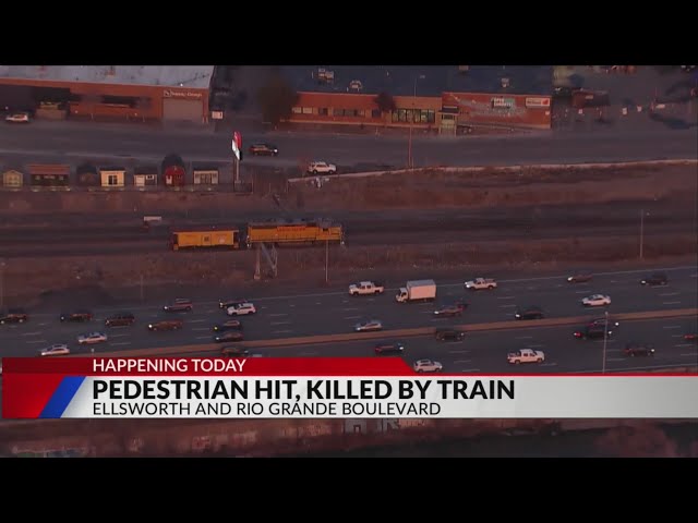 ⁣Pedestrian hit by train, pronounced dead in hospital