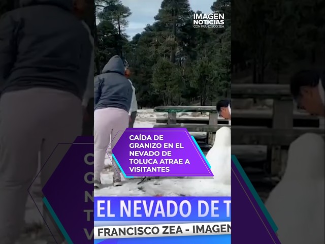 ⁣Caída de granizo en el Nevado de Toluca atrae a visitantes | Shorts | Zea