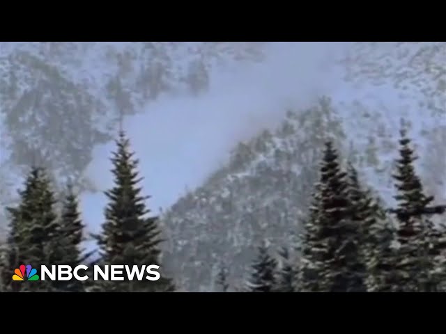 ⁣Man rescues his brother trapped in an avalanche in Utah