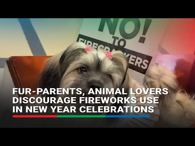 ⁣Fur-parents, animal lovers say no to fireworks on New Year