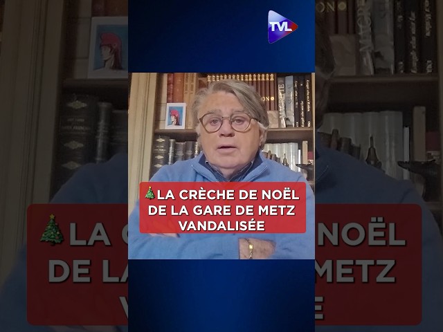 ⁣Gilbert Collard : « Laissez nos crèches en paix ! »