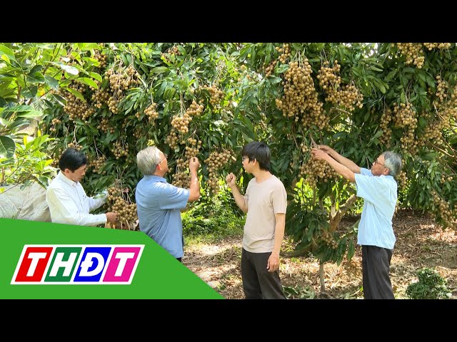 ⁣An Nhơn (Châu Thành) quan tâm sản phẩm OCOP xây dựng Nông thôn mới kiểu mẫu | THDT