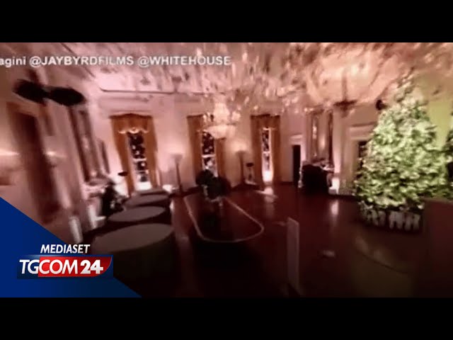 ⁣Usa, tour della Casa Bianca addobbata per Natale