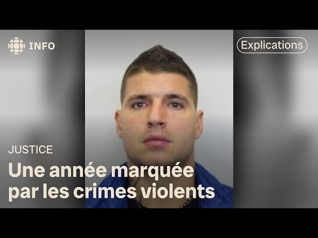 ⁣Une année marquée par les crimes violents