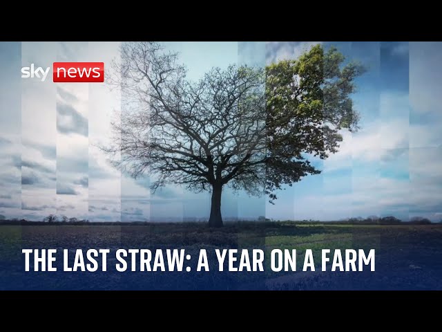 ⁣The Last Straw: Sky News spends critical year with farming family