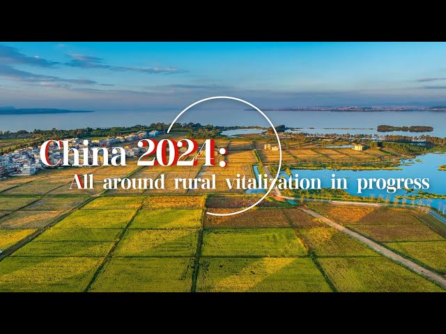 ⁣China 2024: All-around rural vitalization in progress