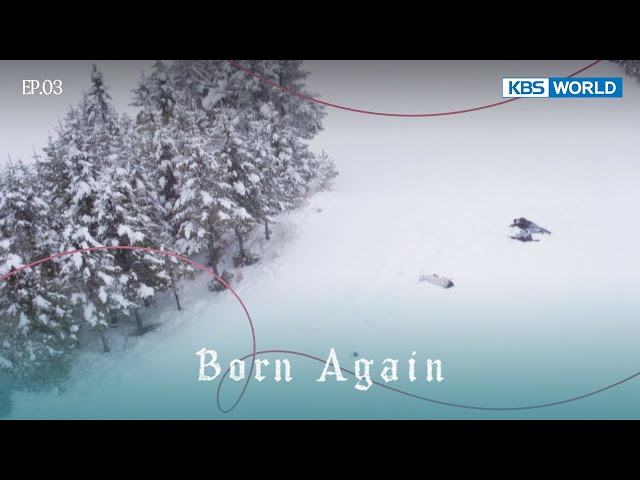 ⁣I don't want to become an animal. [Born Again : EP.04] | KBS WORLD TV 241227