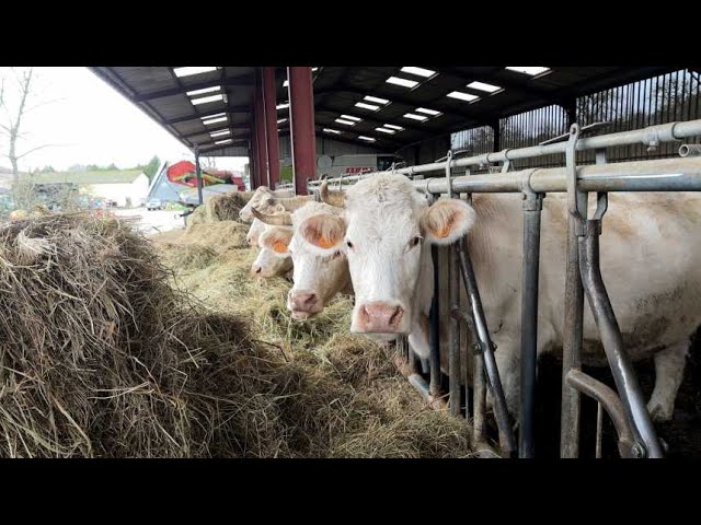 ⁣Une aide de 100 000 euros pour les agriculteurs de la Meuse en difficulté