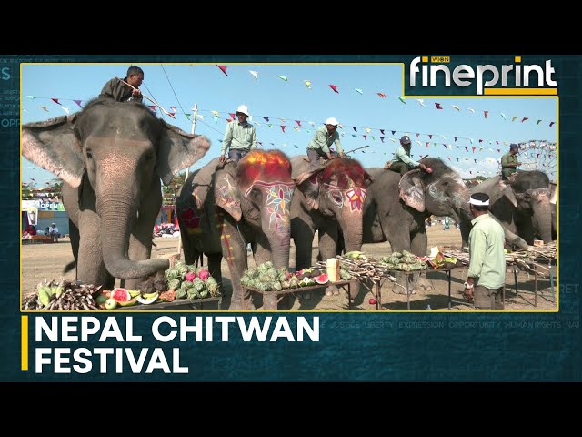 ⁣Elephant Festival Kicks Off In Chitwan, Nepal | WION Fineprint | World News