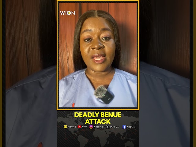 ⁣11 Persons Feared Dead In Fresh Attack On Benue Community | WION Shorts