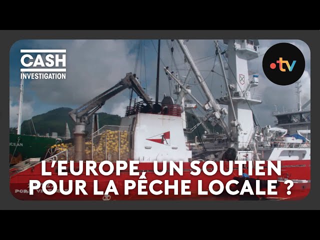 ⁣L'Europe soutient-elle vraiment la petite pêche locale dans l’Océan ? - Cash investigation