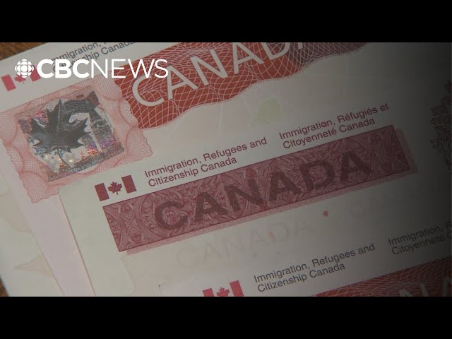 ⁣Canada’s honour-based immigration system is being 'exploited,' says criminologist