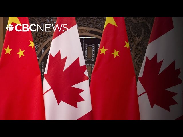 ⁣Human rights activist 'never thought' China would target 'ordinary Canadians' li