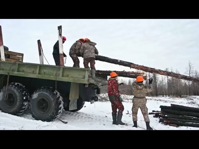 ⁣Военнослужащие очистили более 17 га выгоревшего леса в области Абай