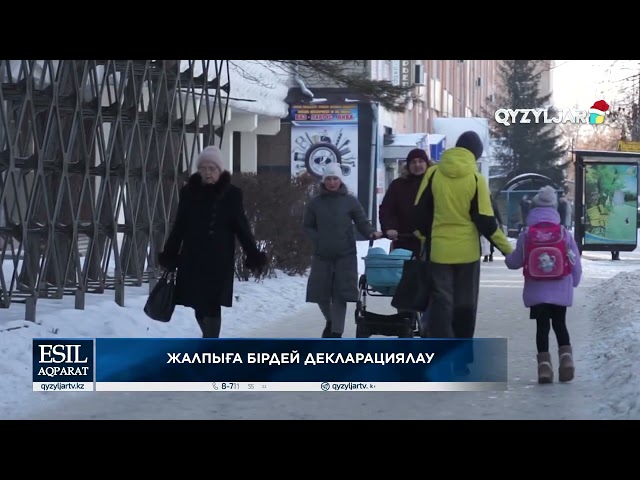 ⁣Жалпыға бірдей декларациялау