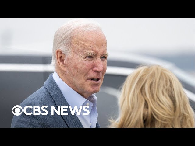 ⁣Biden to decide on Nippon Steel acquisition of U.S. Steel