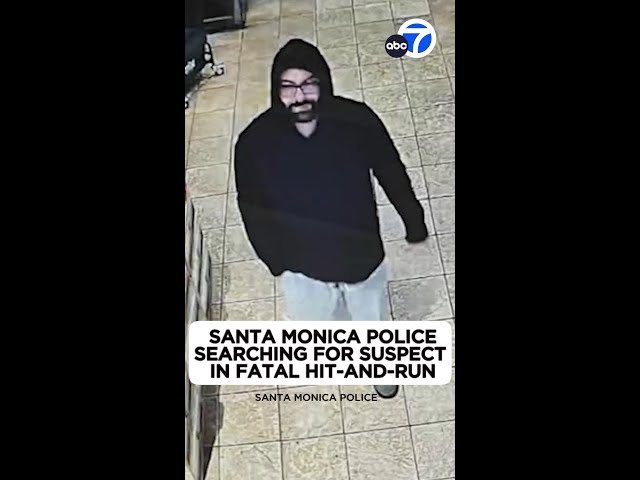 ⁣Santa Monica police searching for suspect in fatal hit-and-run