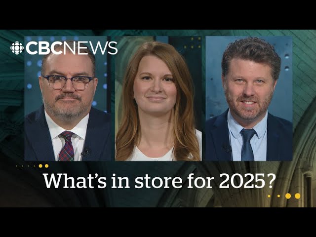 ⁣Political Pulse panel: Stories to watch in 2025