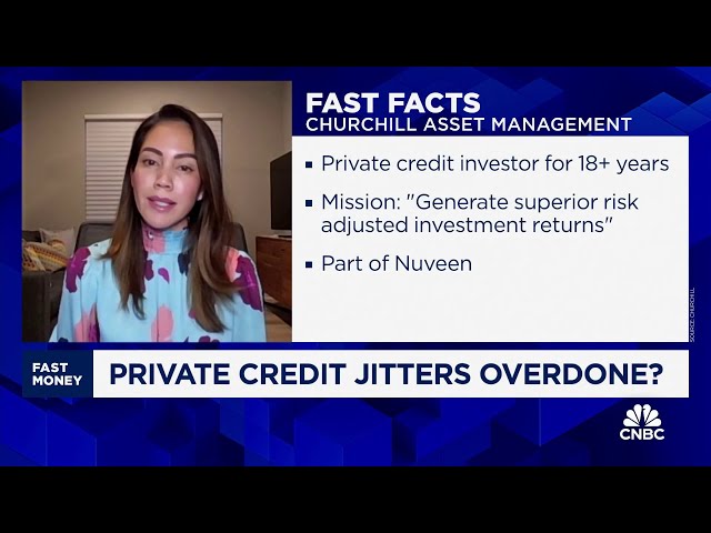 ⁣Private credit boom is rooted in strong fundamentals, says Churchill's Alona Gornick