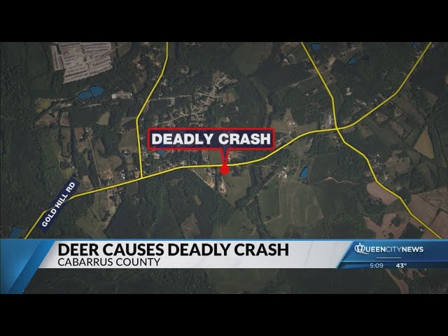 ⁣Mother, daughter killed after deer crashes through car windshield in Cabarrus County