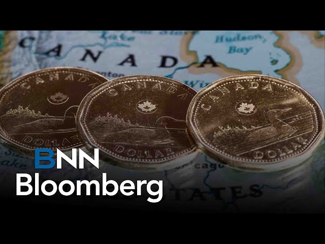 ⁣Loonie could move lower: analyst