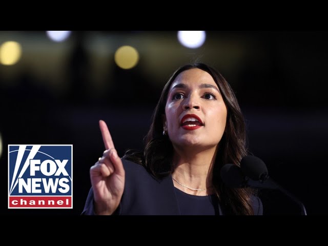 ⁣The 'Squad' is now a 'huge liability' for the Democratic brand, former campaign 