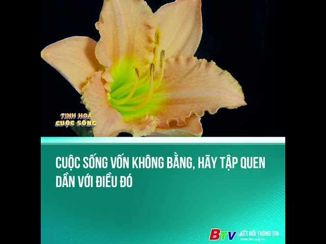 ⁣Cuộc sống vốn không bằng, hãy tập quen dần với điều đó